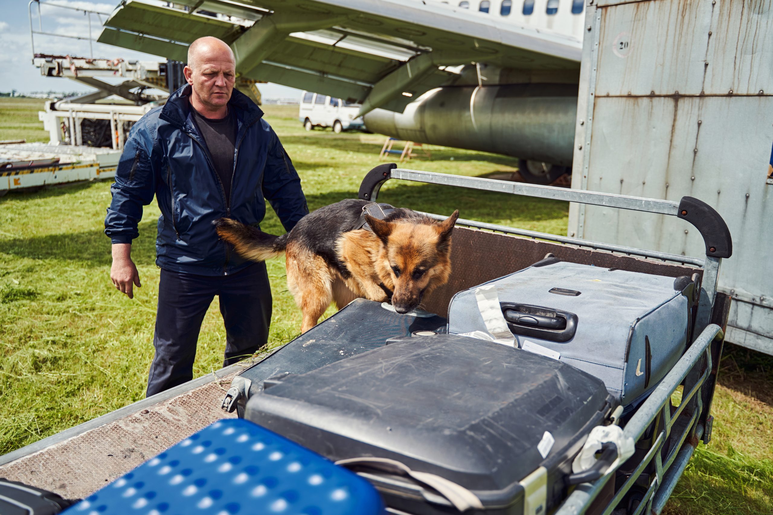 VIP Security Services officer, with his drug detection and explosive dog. 